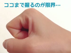 nigirimax