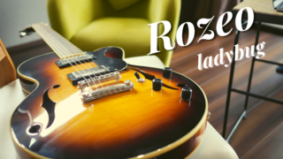 rozeo_guitar
